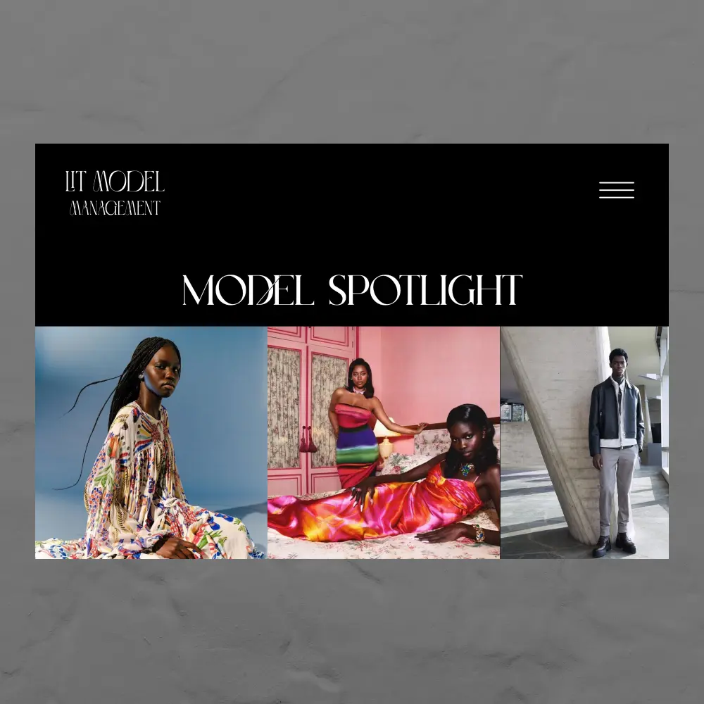 Lit Model Management